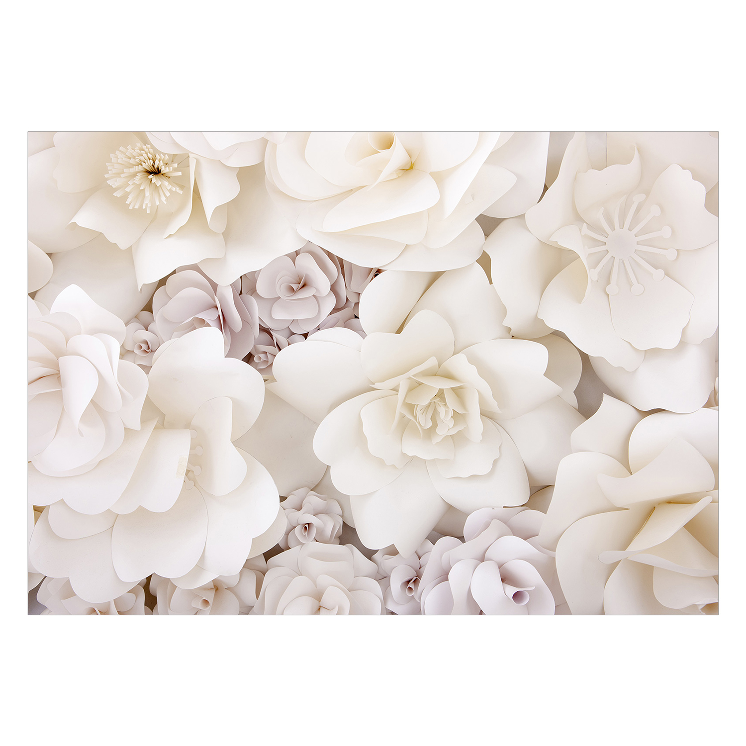 Fototapet Arkiio Floral Display