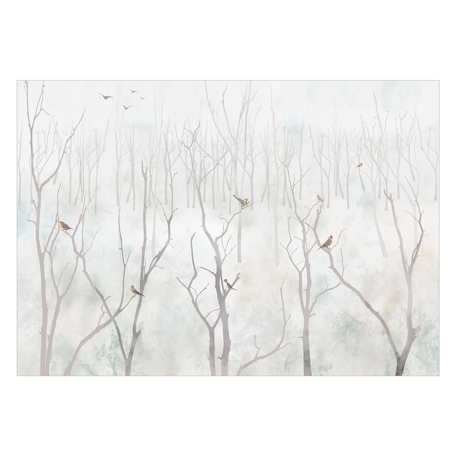 Fototapet Arkiio Winter Forest