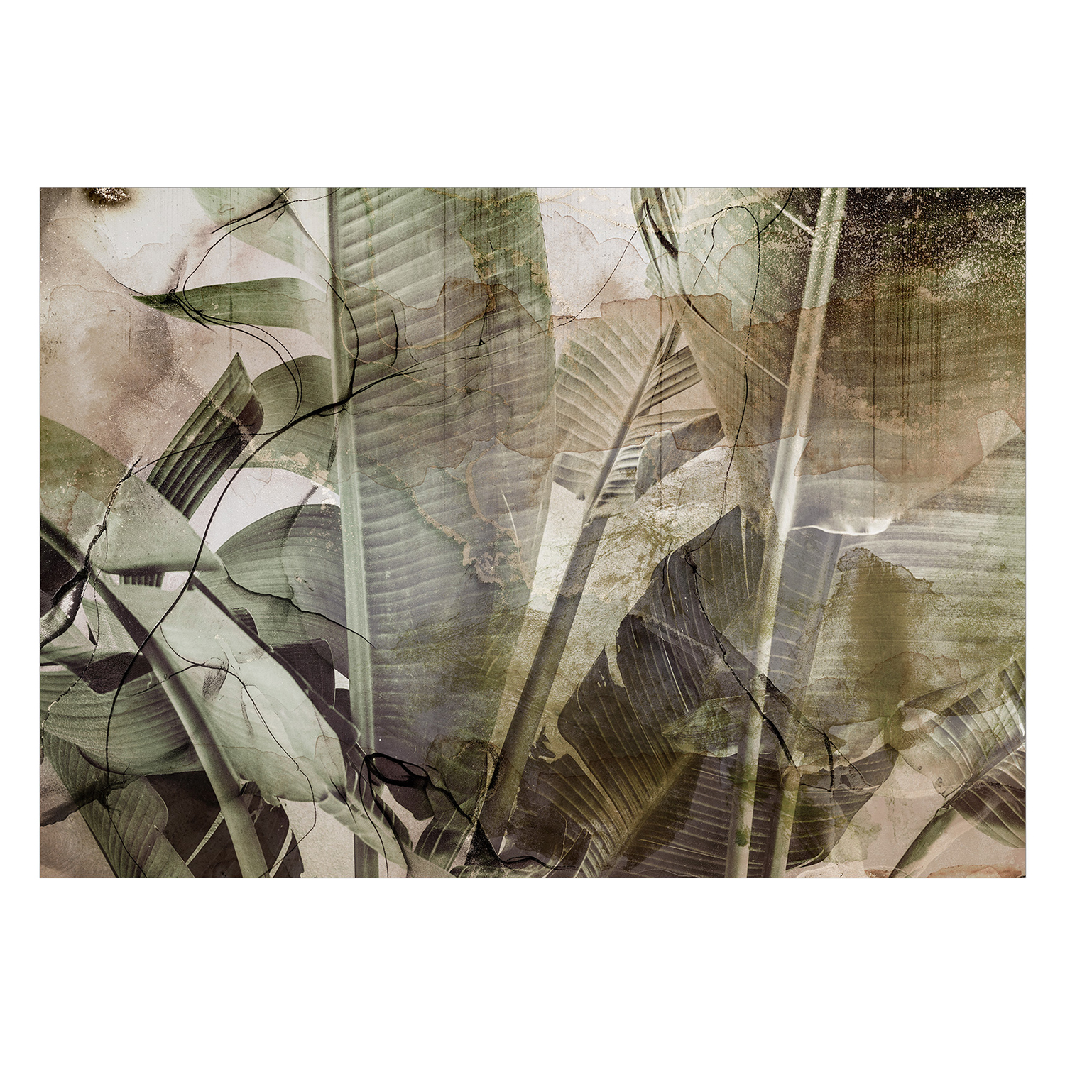 Fototapet Arkiio Banana Jungle