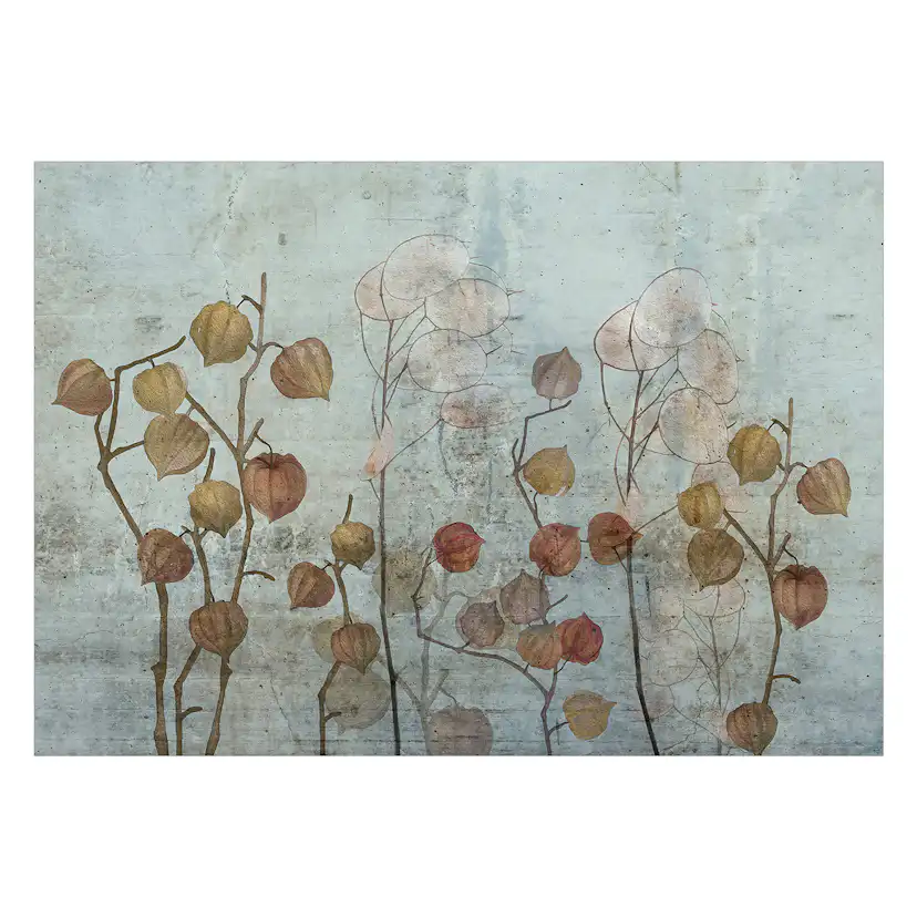 Fototapet Arkiio Painted Lunaria