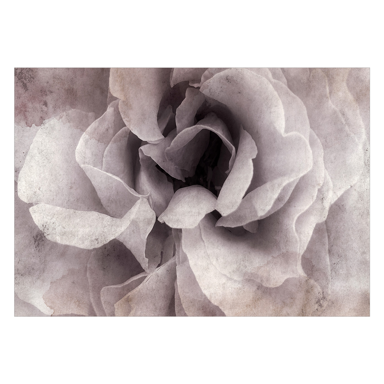 Fototapet Arkiio Entrance To Bliss