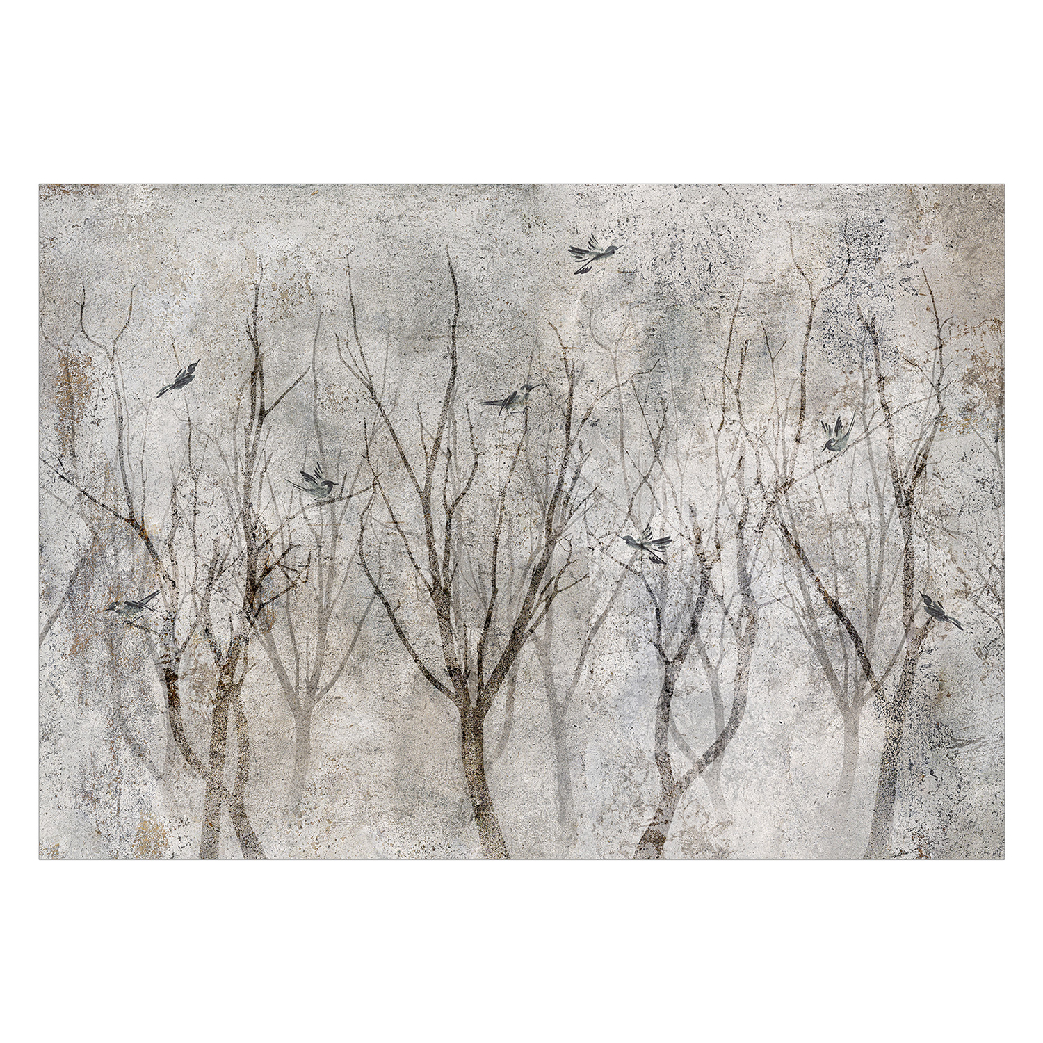 Fototapet Arkiio Singing In The Forest