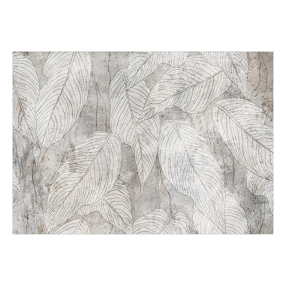 Fototapet Arkiio Shadow Full of Sough Självhäftande