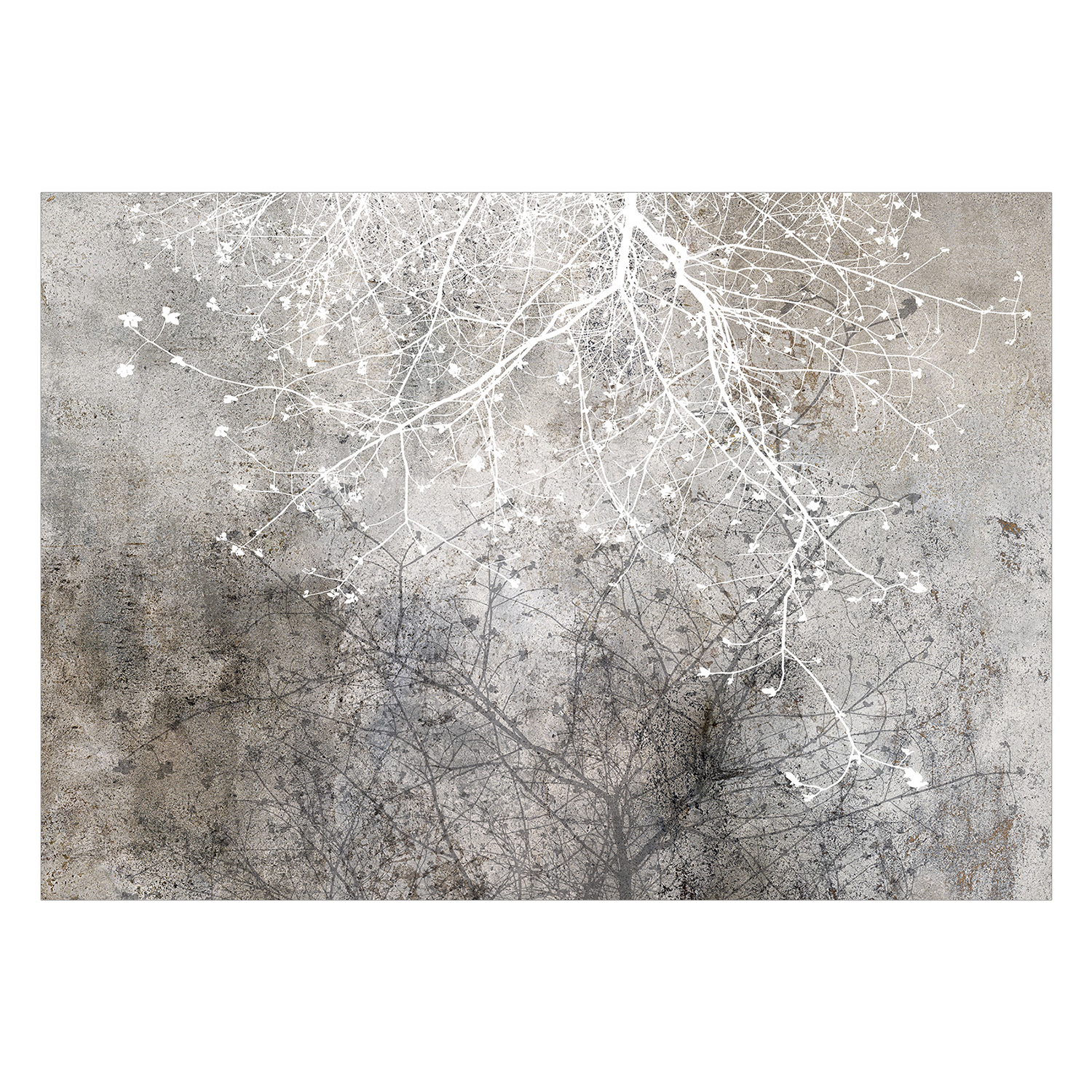 Fototapet Arkiio Clear Branching