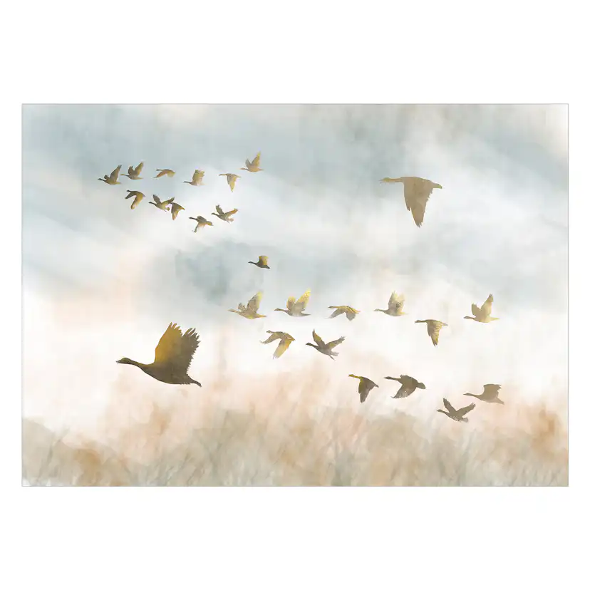 Fototapet Arkiio Golden Geese