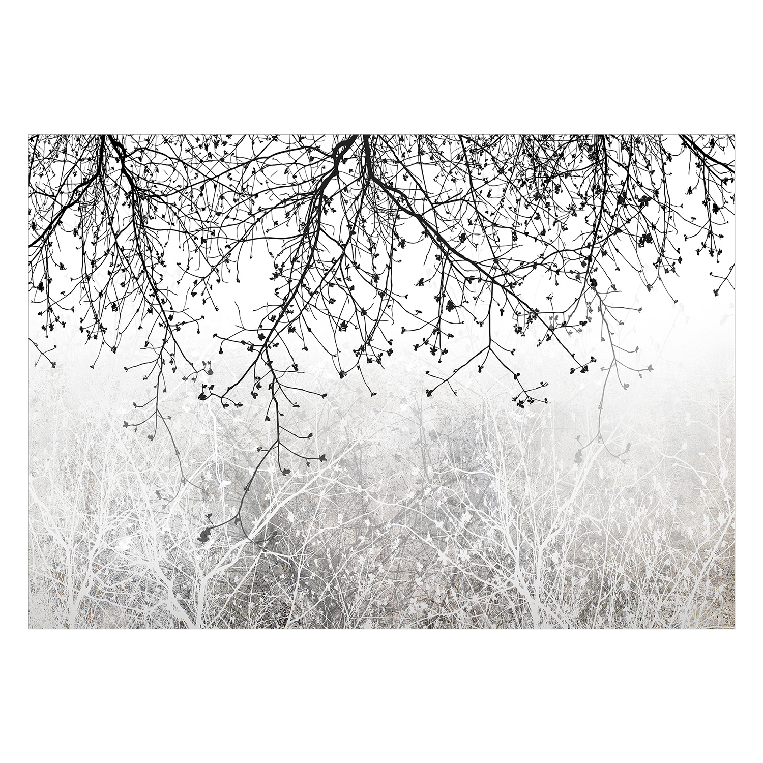 Fototapet Arkiio Natural Brightness