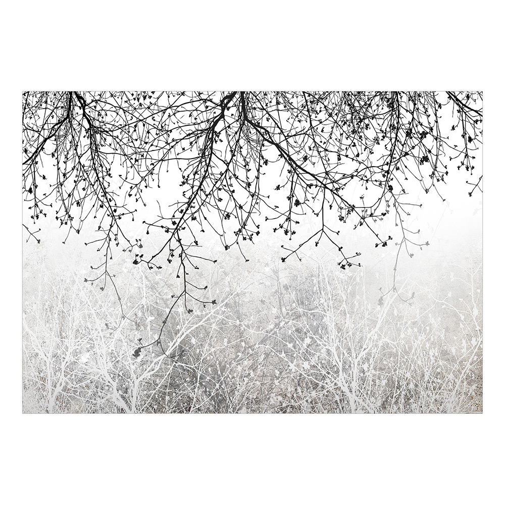 Fototapet Arkiio Natural Brightness Självhäftande