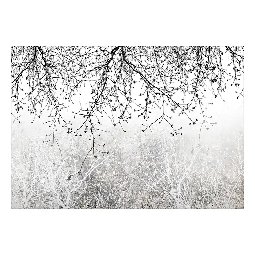 Fototapet Arkiio Natural Brightness Självhäftande