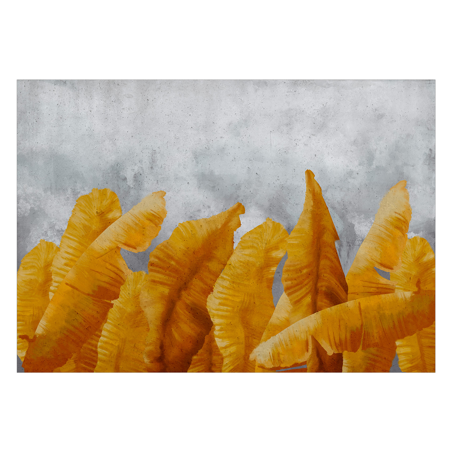 Fototapet Arkiio Banana Leaves