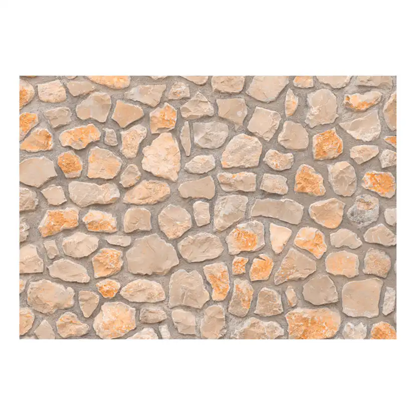 Fototapet Arkiio Stone Age