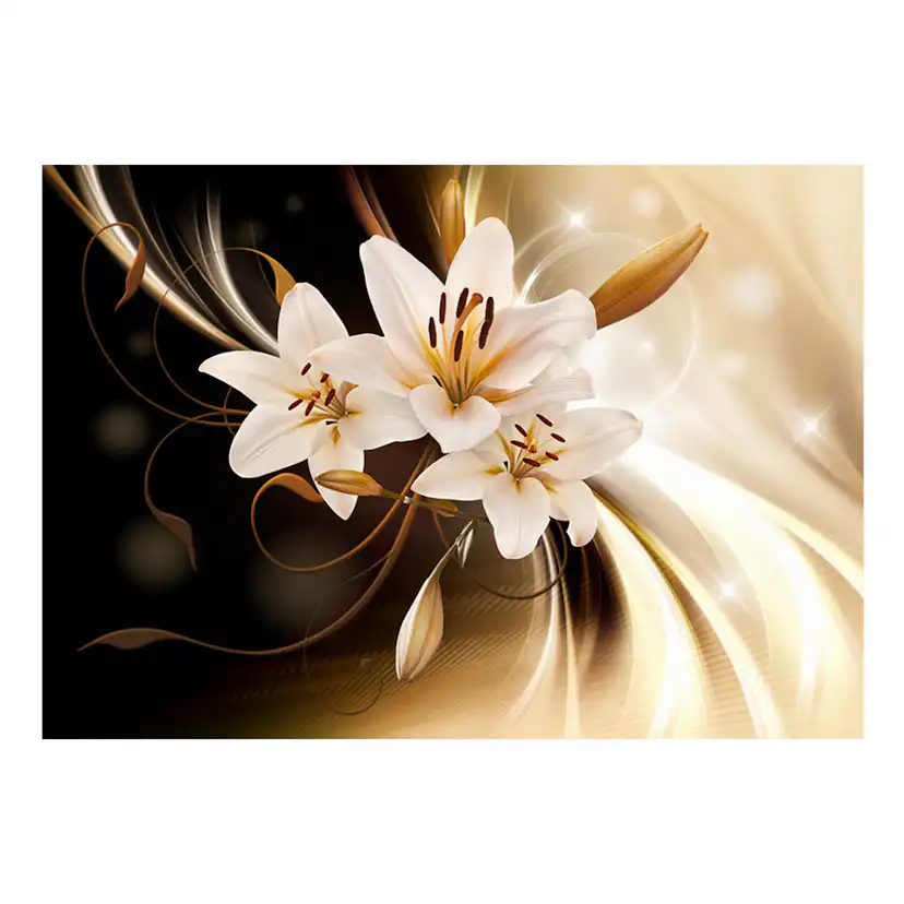 Fototapet Arkiio Circle Of Light