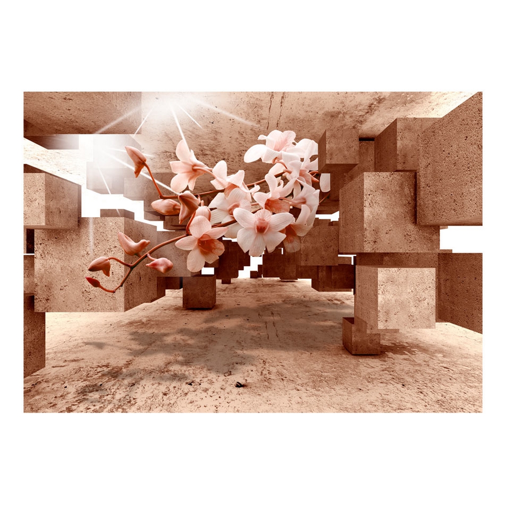 Fototapet Arkiio Självhäftande Curiosities Of Nature