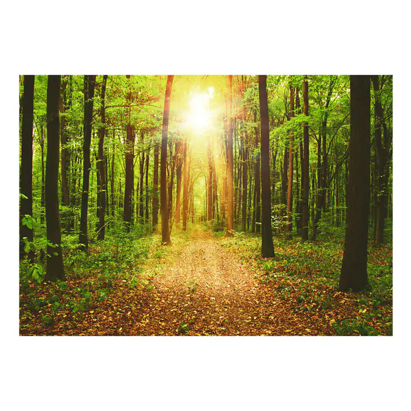 Fototapet Arkiio Mirror Of Nature