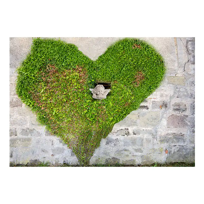 Fototapet Arkiio Angel Stole My Heart