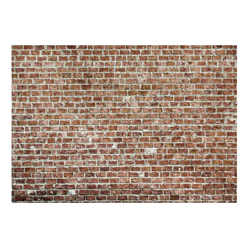 Fototapet Arkiio Old Dominion