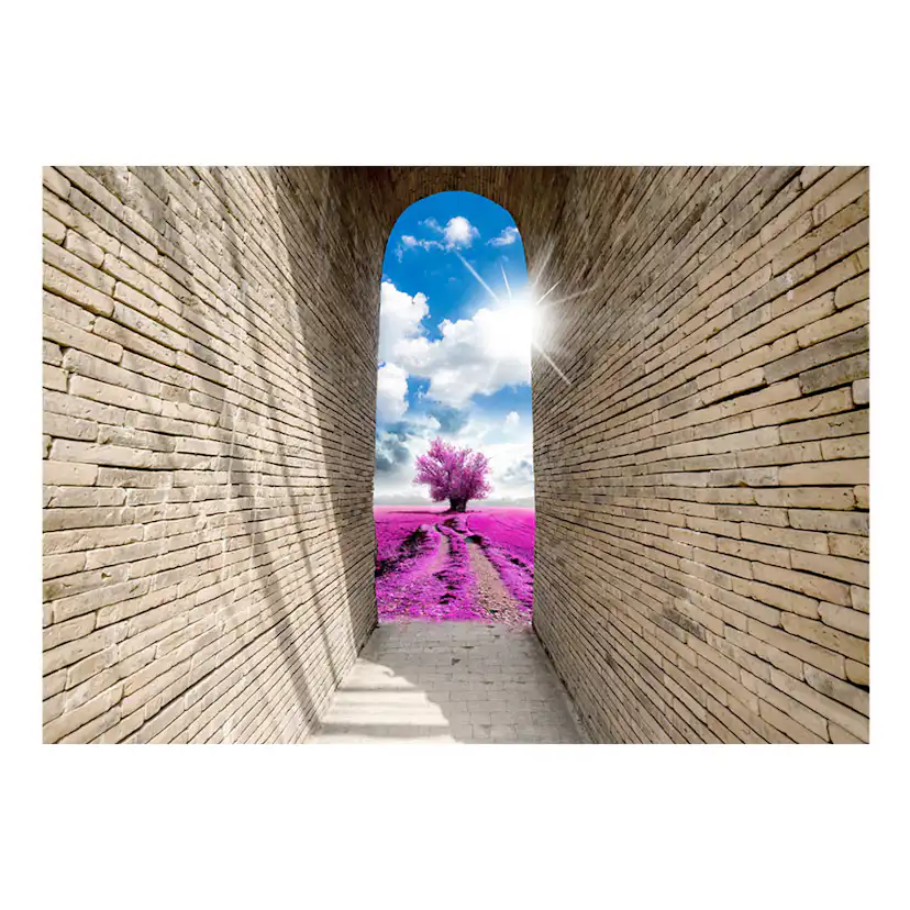 Fototapet Arkiio Magical Passage