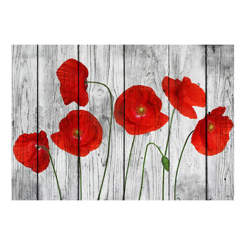 Fototapet Arkiio Tale Of Red Poppies
