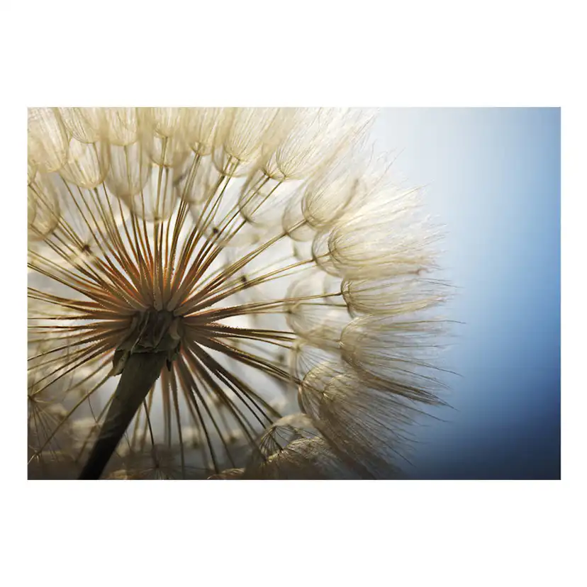 Fototapet Arkiio Summer Delight