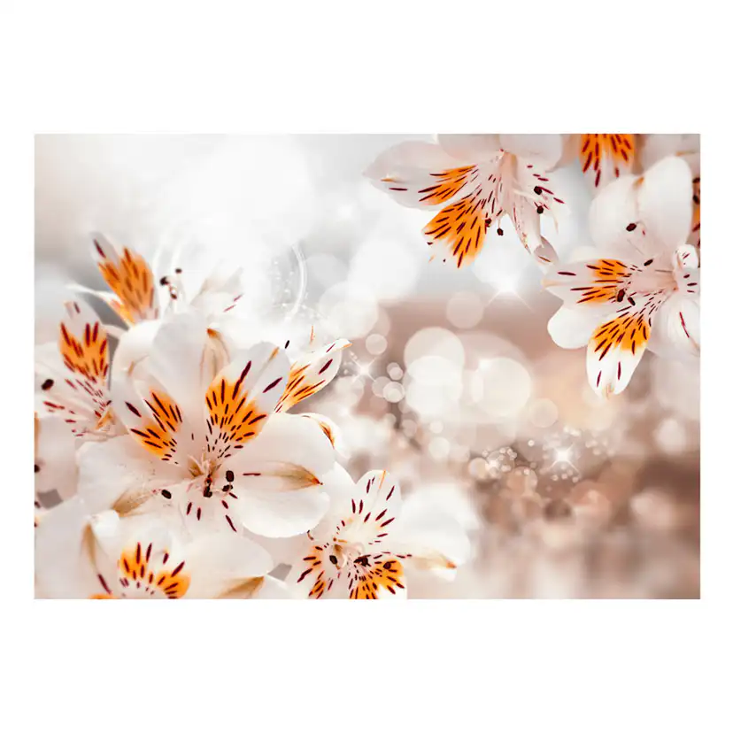 Fototapet Arkiio Lily Of The Incas