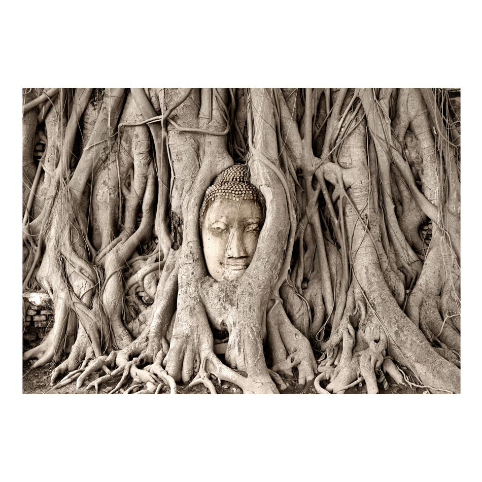 Fototapet Arkiio Buddha's Tree