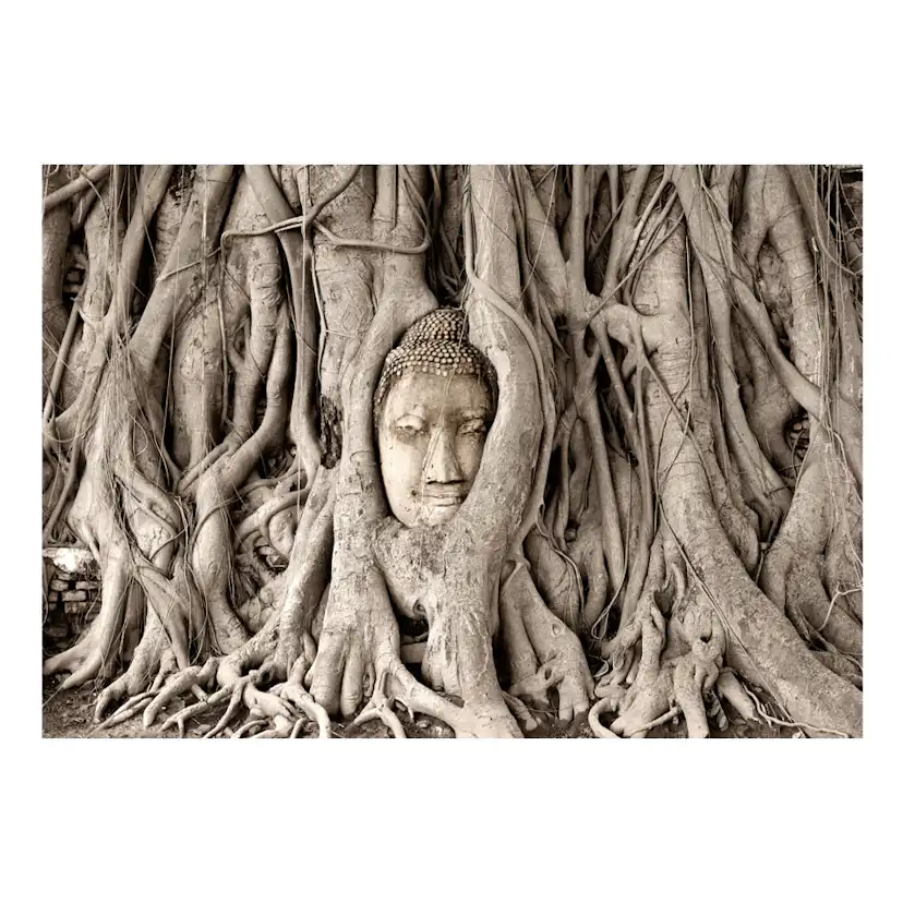 Fototapet Arkiio Buddha's Tree