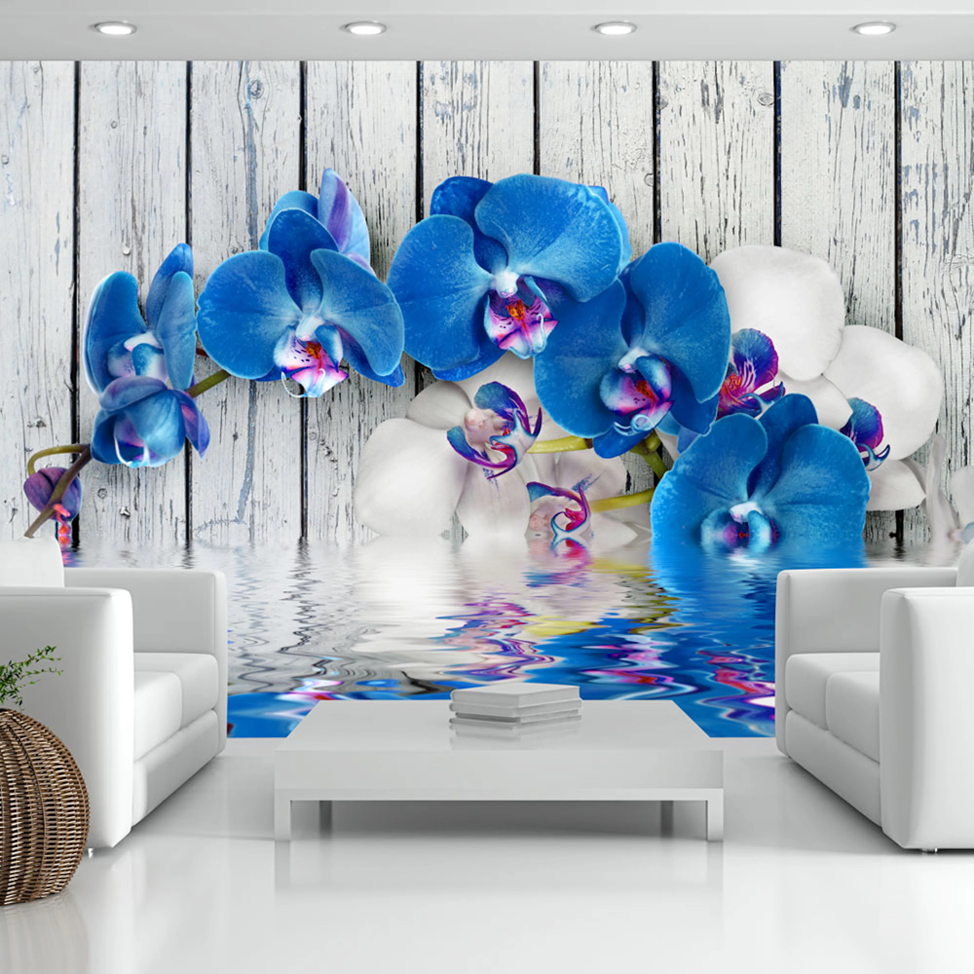 Fototapet Arkiio Cobaltic Orchid