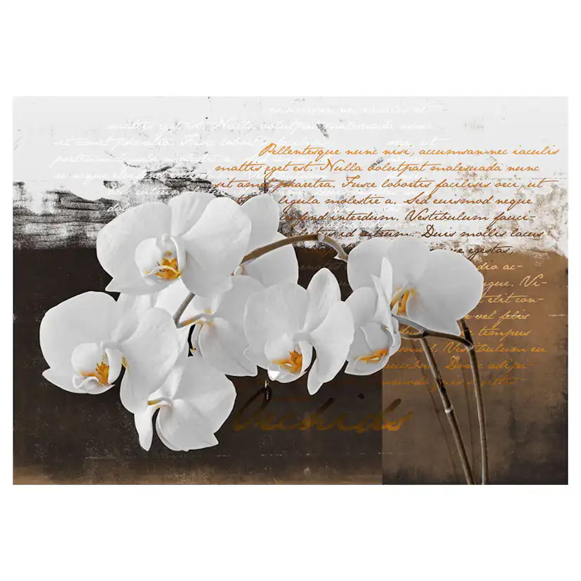 Fototapet Arkiio Sentimental Thoughts