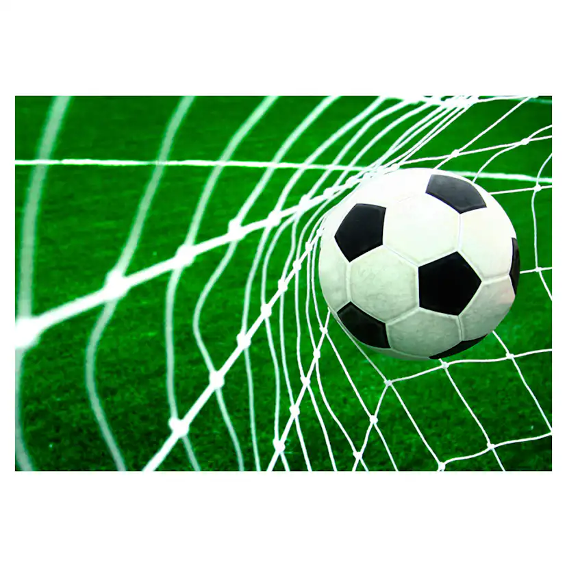 Fototapet Arkiio Goal!