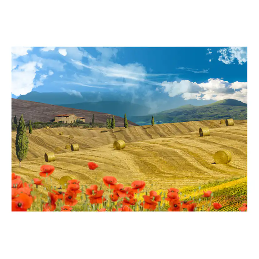 Fototapet Arkiio Autumn Landscape