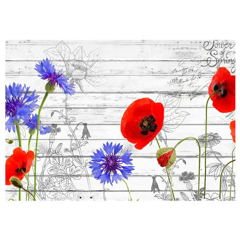 Fototapet Arkiio Wildflowers