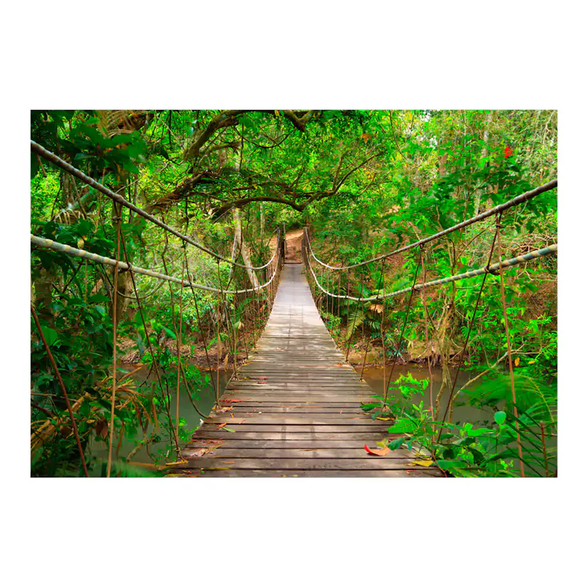 Fototapet Arkiio Bridge Amid Greenery