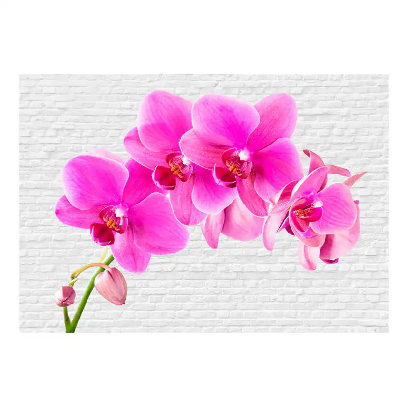 Fototapet Arkiio Pin