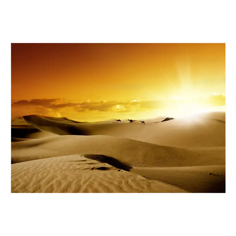 Fototapet Arkiio March Of Camels