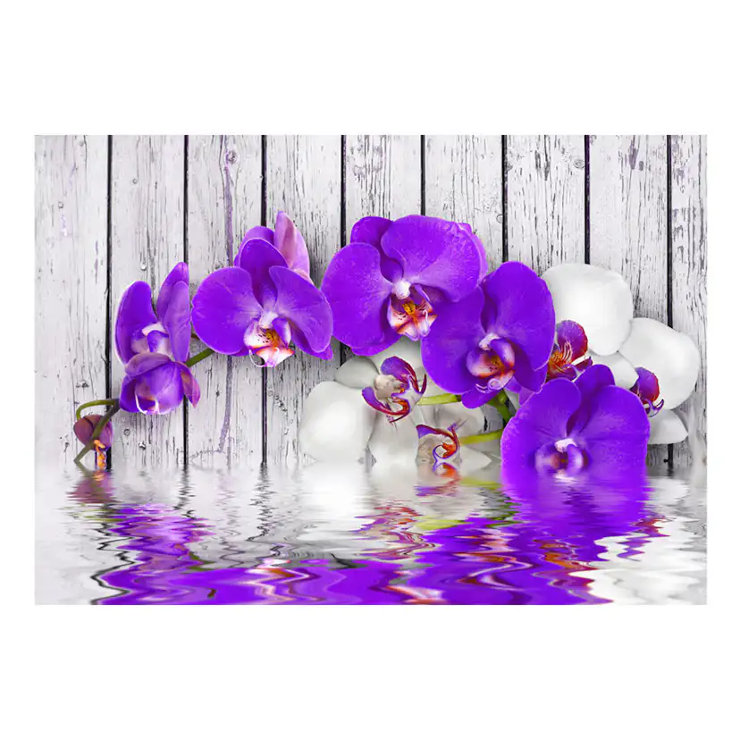 Fototapet Arkiio Dormant Instincts