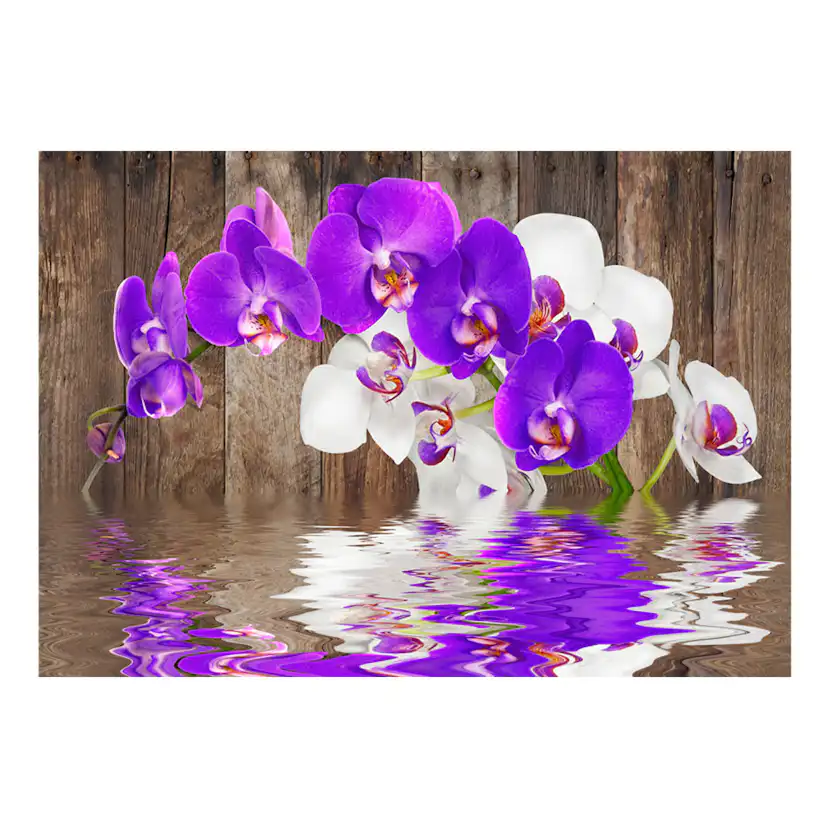 Fototapet Arkiio Connection