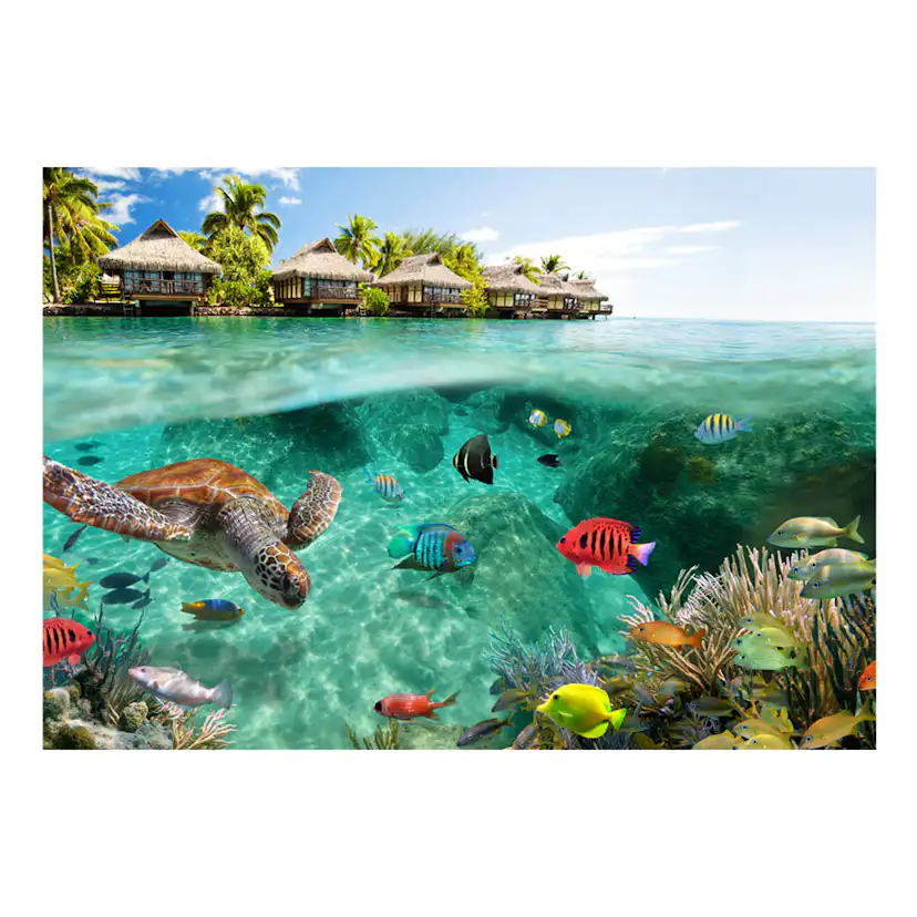 Fototapet Arkiio Under The Surface Of Water