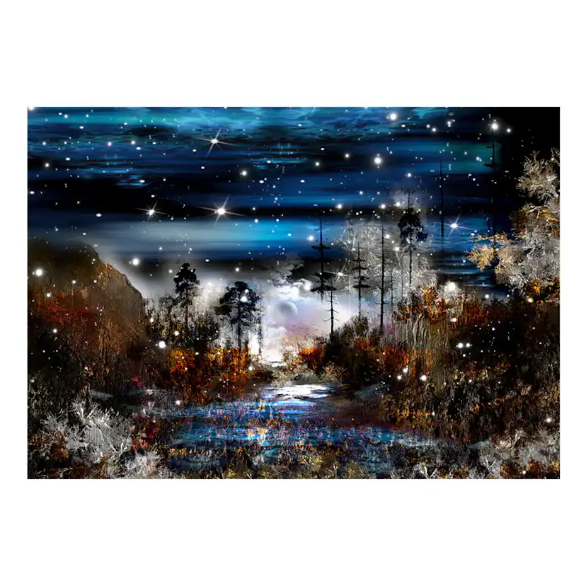 Fototapet Arkiio Night In The Forest