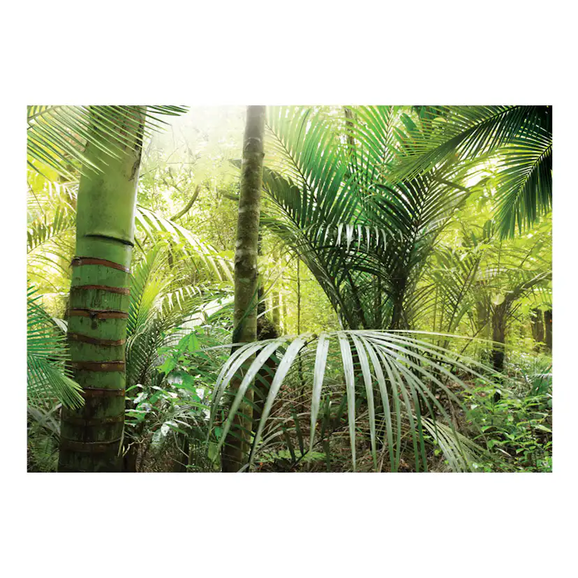 Fototapet Arkiio Green Alley