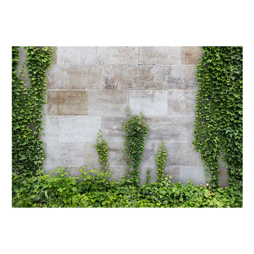 Fototapet Arkiio The Forgotten Garden