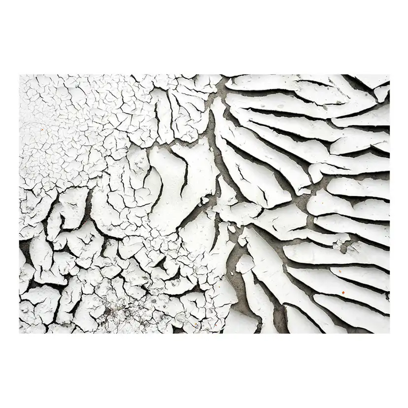 Fototapet Arkiio Signs Of The Time