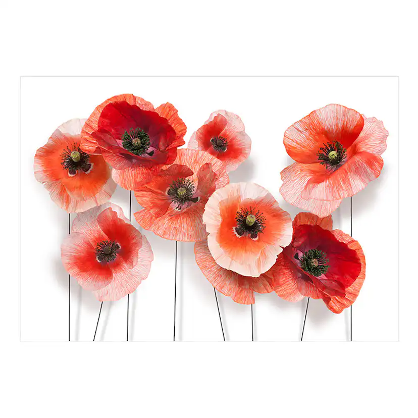 Fototapet Arkiio Nine Poppies