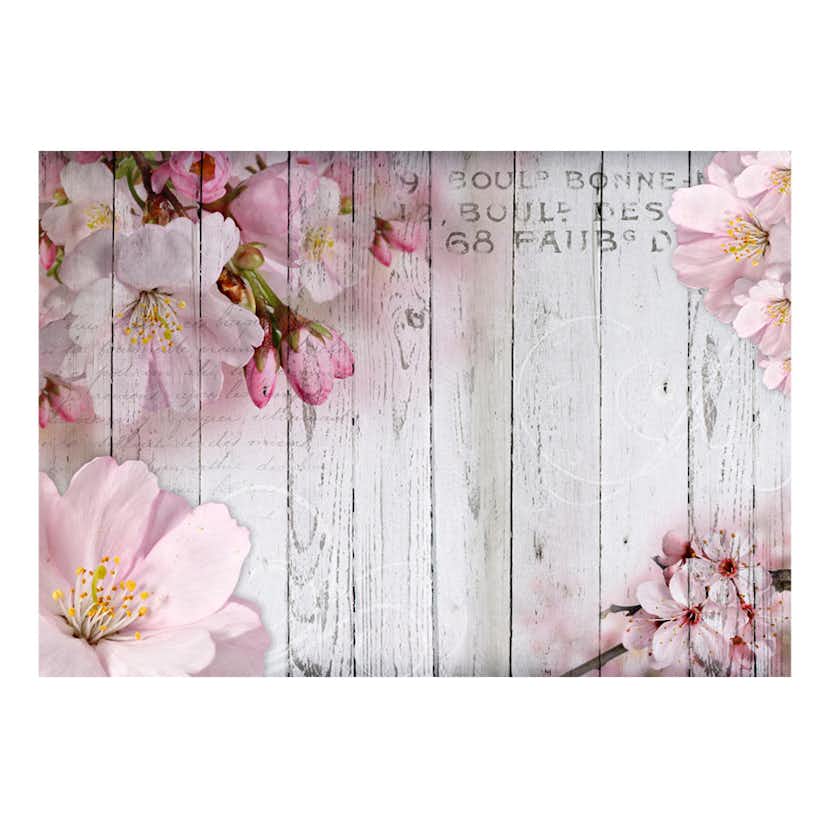 Fototapet Arkiio Apple Blossoms