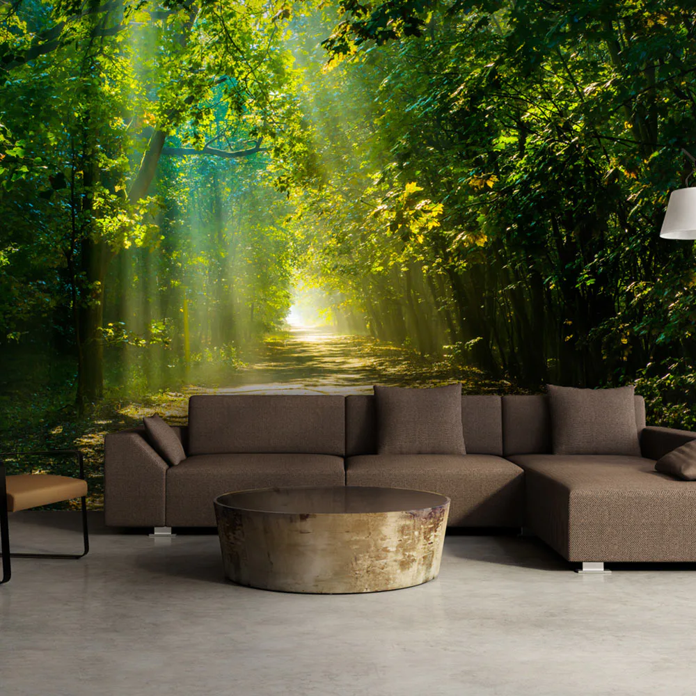 Fototapet Arkiio Självhäftande Road In Sunlight