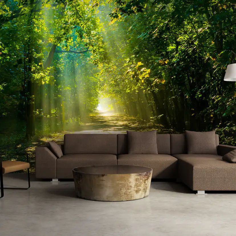 Fototapet Arkiio Självhäftande Road In Sunlight