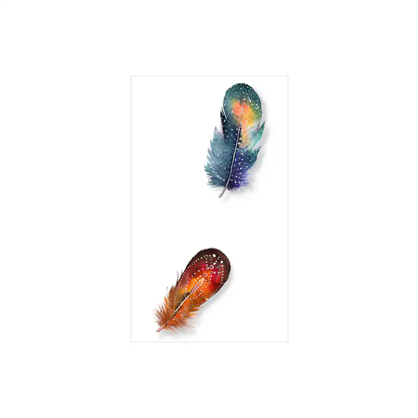 Fototapet Arkiio Colorful Feathers 50x1000 cm