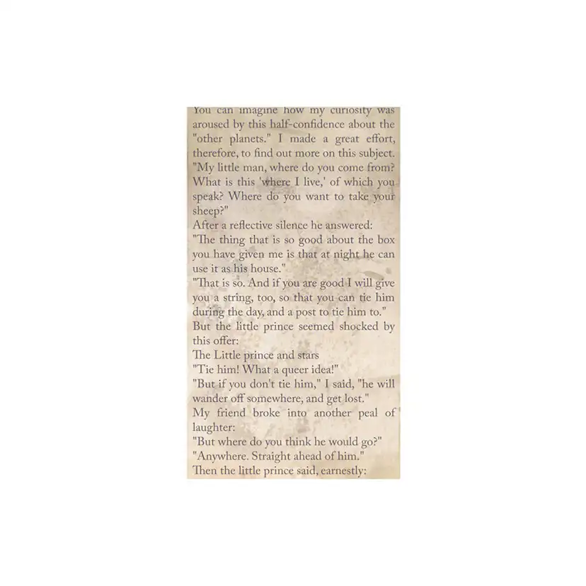 Fototapet Arkiio The Little Prince Spiritual Journey 50x1000 cm