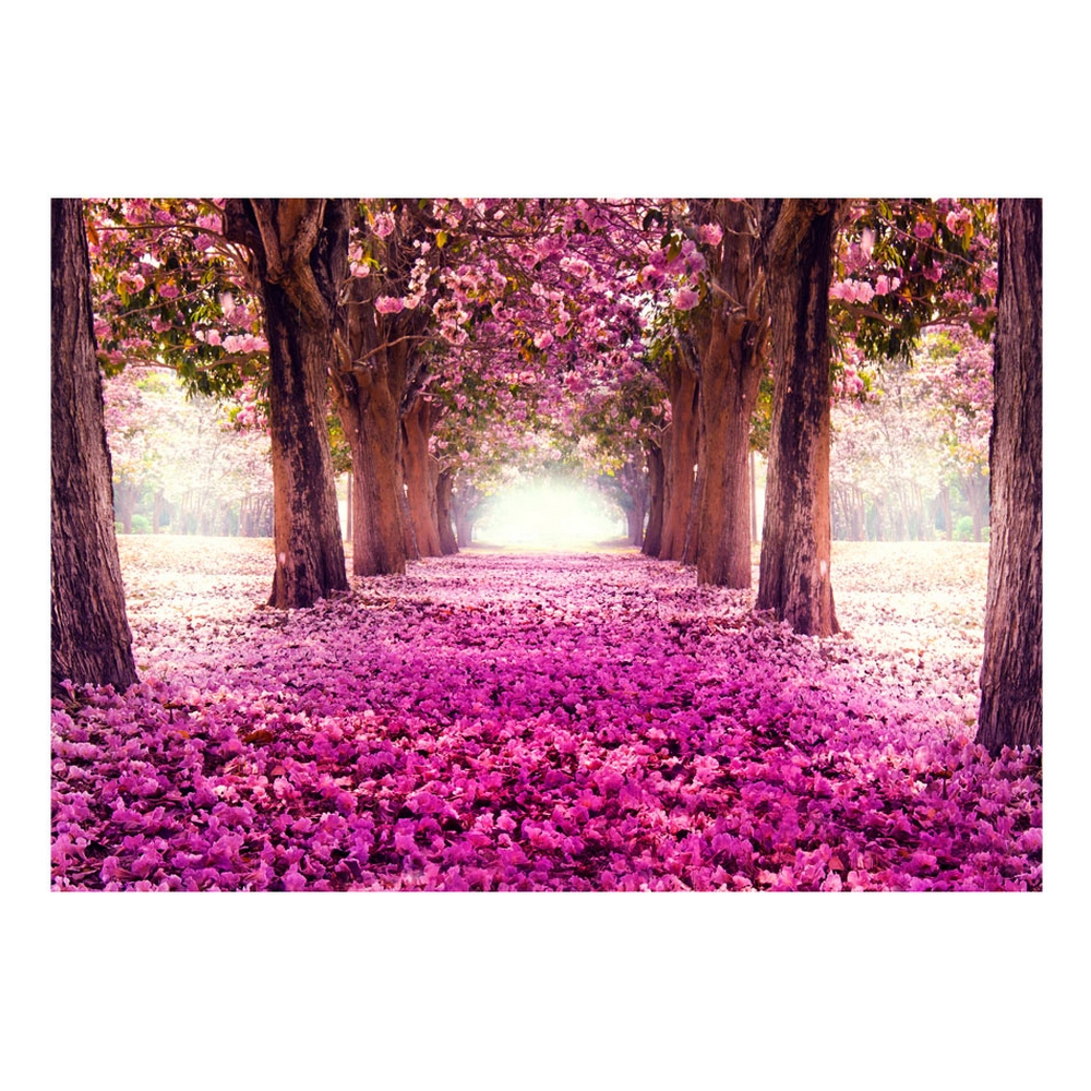 Fototapet Arkiio Självhäftande Pink Path