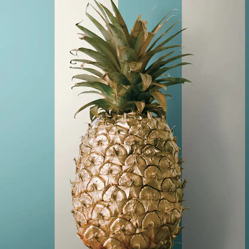 Tapet York Wallcoverings Ashford Tropics AT7008