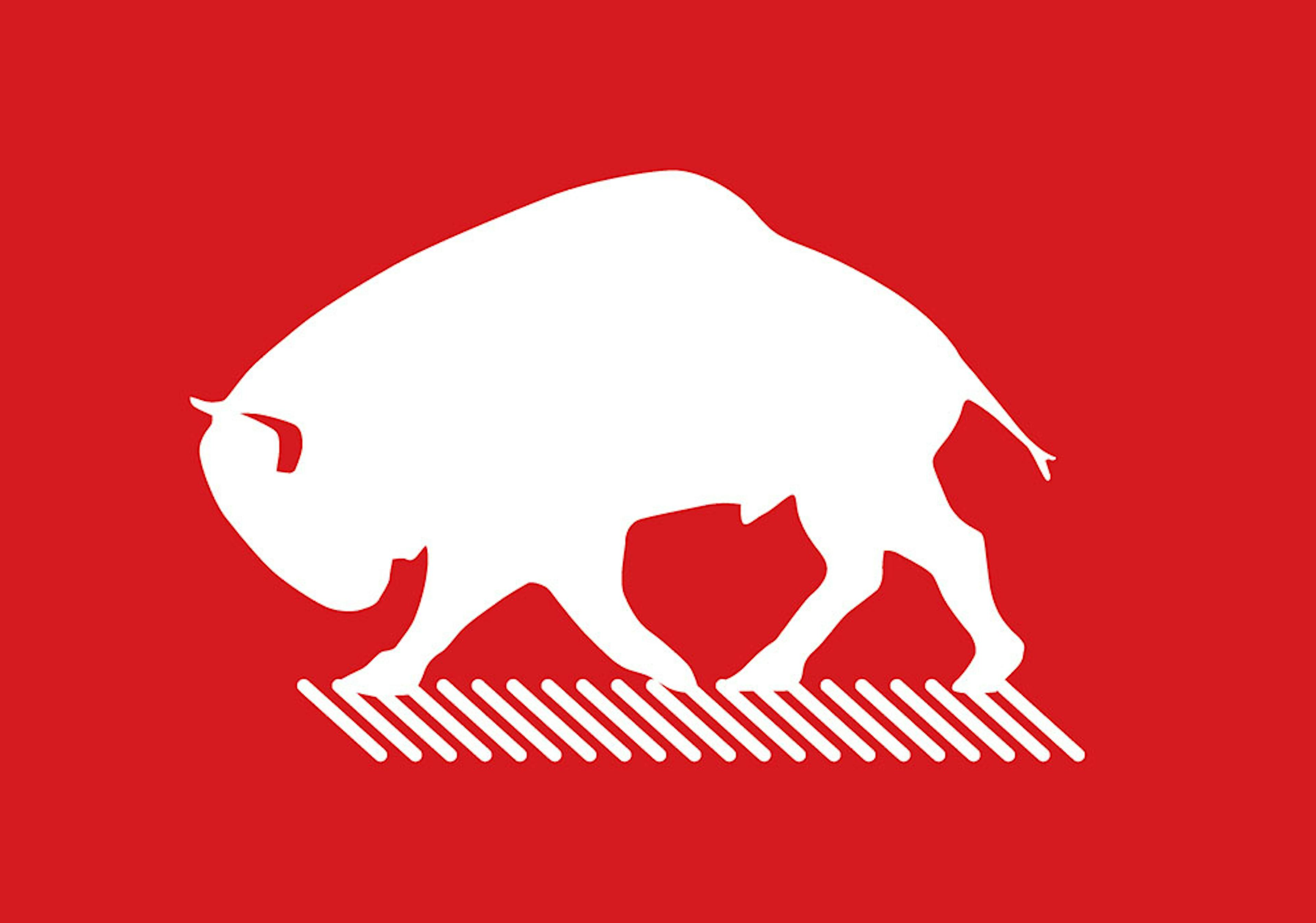 Bison