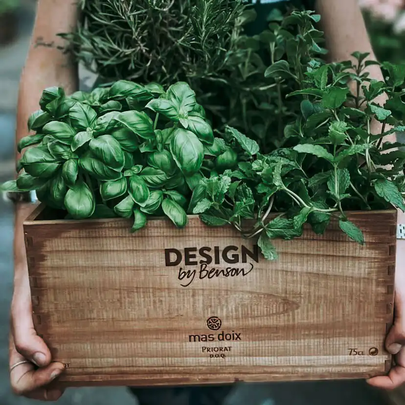 Odlingslåda by Benson